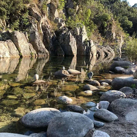 Superbe Sur Le Port, Jacuzzi, Piscine *