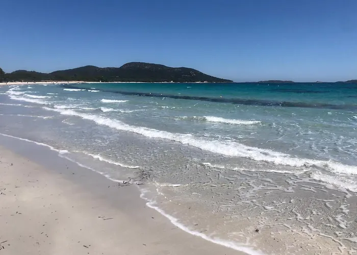 Superbe Sur Le Port, Jacuzzi, Piscine