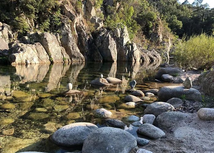 Superbe Sur Le Port, Jacuzzi, Piscine *