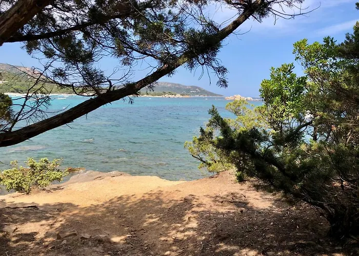 Superbe Sur Le Port, Jacuzzi, Piscine Apartamento *